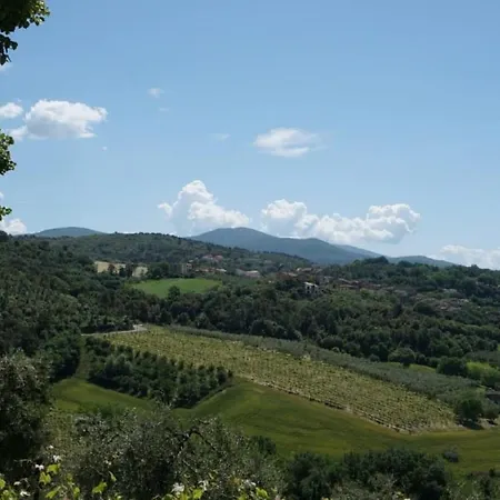 Apartment In The Vineyards For Up To 4 People * Vigne