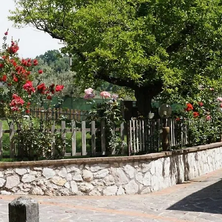 Apartment In The Vineyards For Up To 4 People Holiday home Vigne