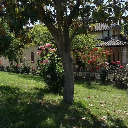 Apartment In The Vineyards For Up To 4 People * Vigne